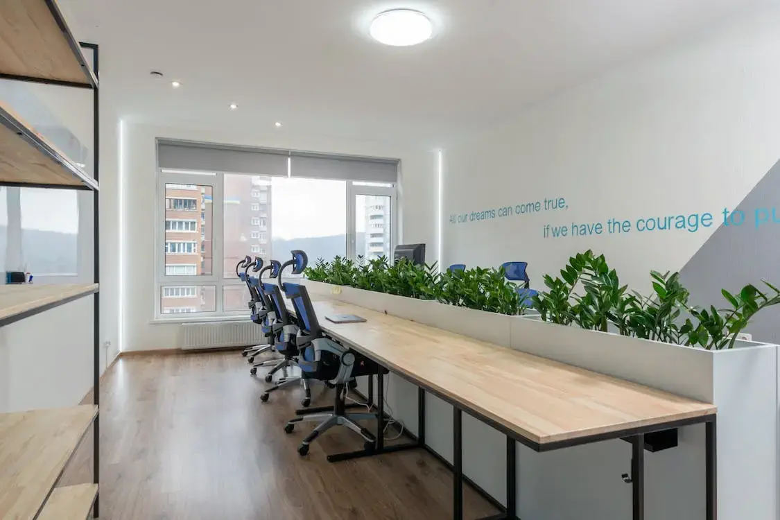Oficina moderna y luminosa con escritorios de madera, sillas ergonómicas azules, plantas separando áreas de trabajo y una ventana grande con vista a edificios vecinos.